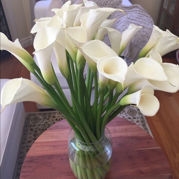 Meet your Posher, Eva - Picture 9 of 11